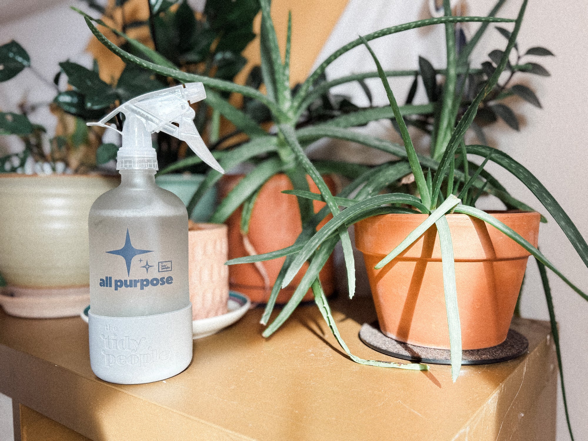 All Purpose Spray: Refillable Starter Kit