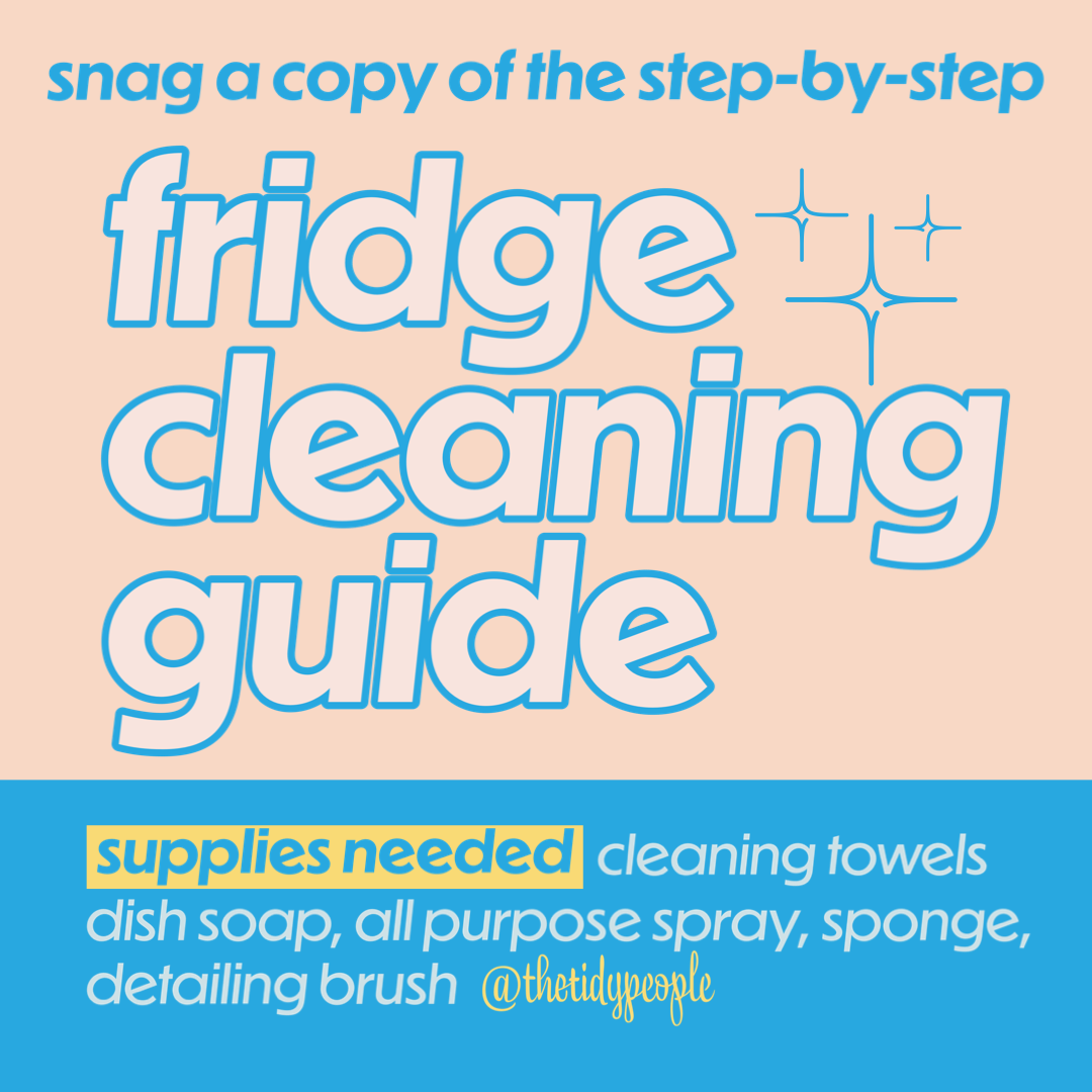 Fridge Cleaning Guide