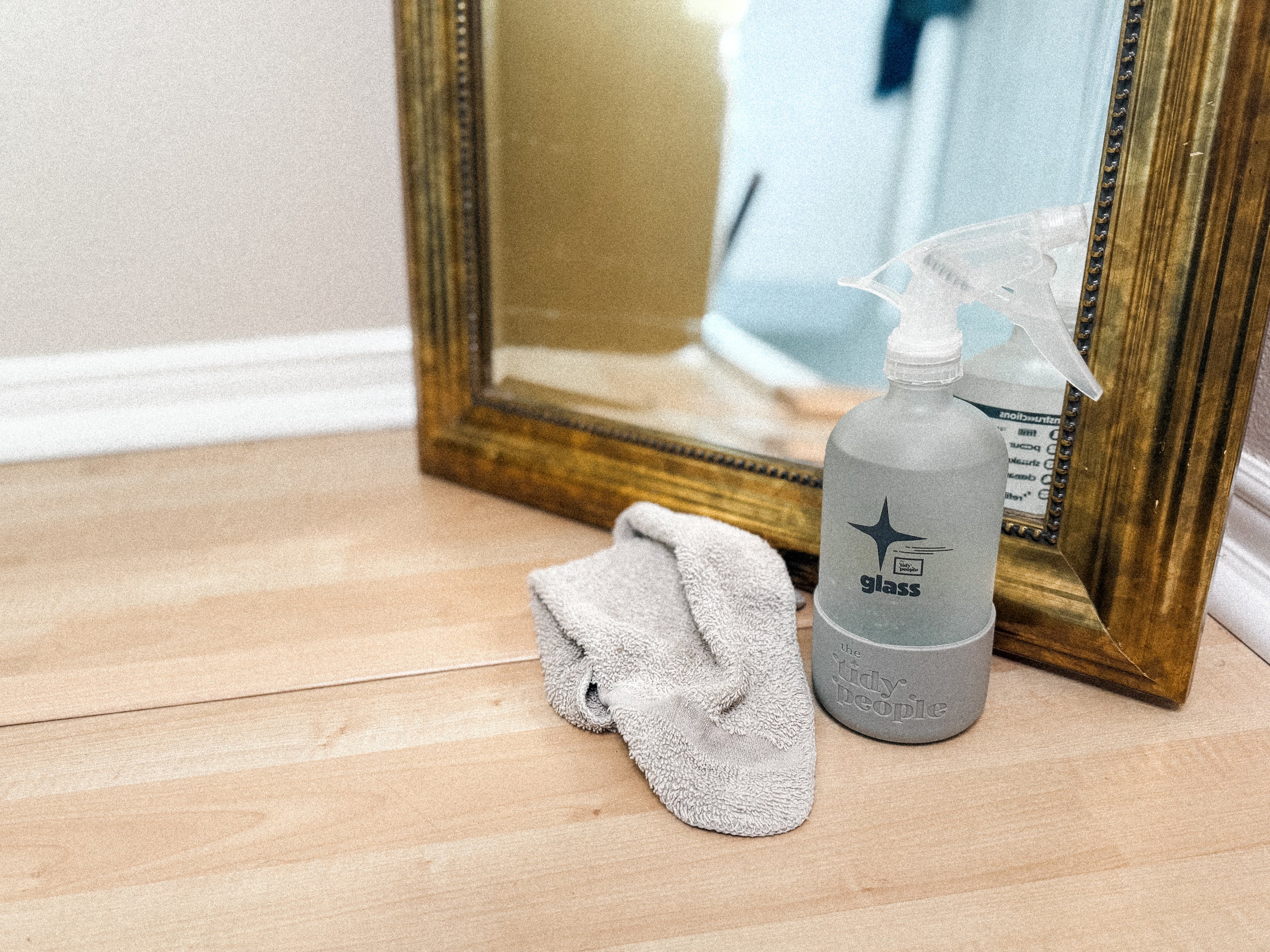 Glass Cleaner: Cleaning Starter Kit
