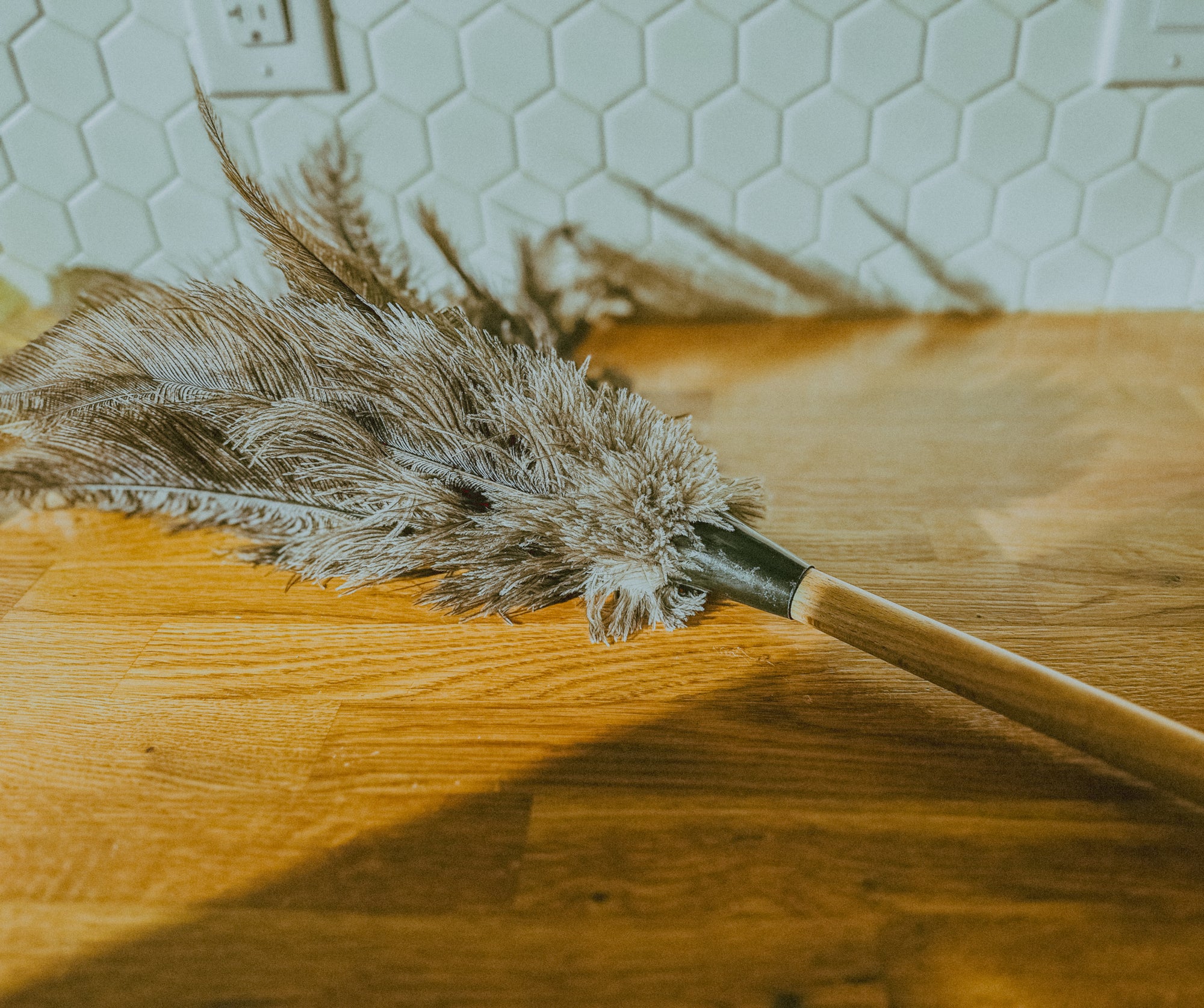 Feather Duster