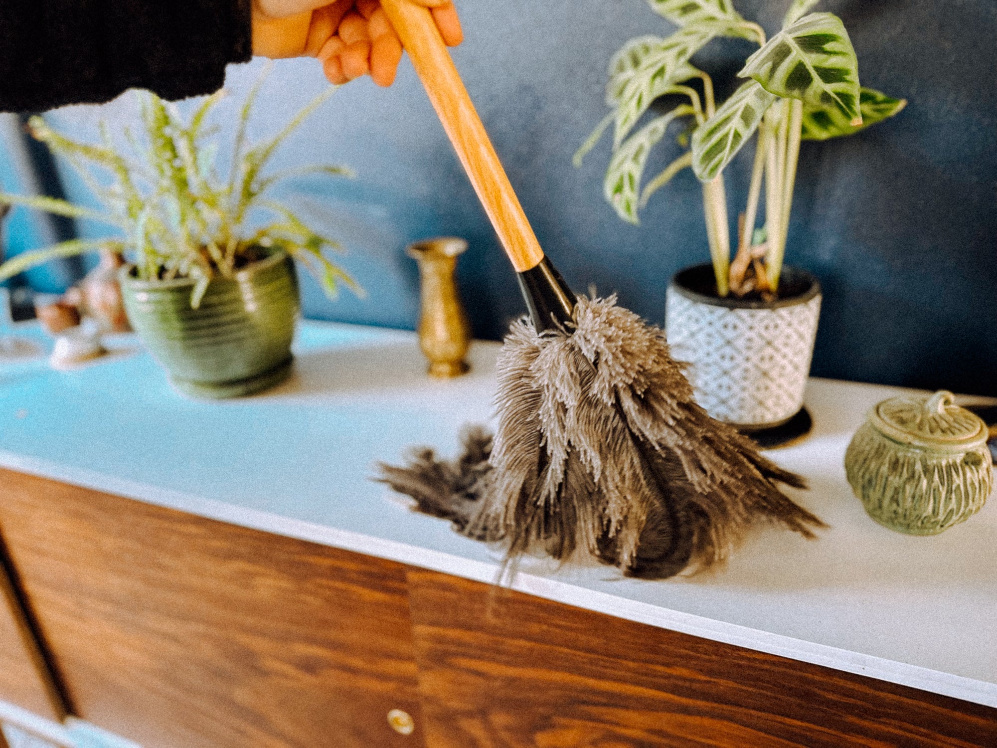 Feather Duster