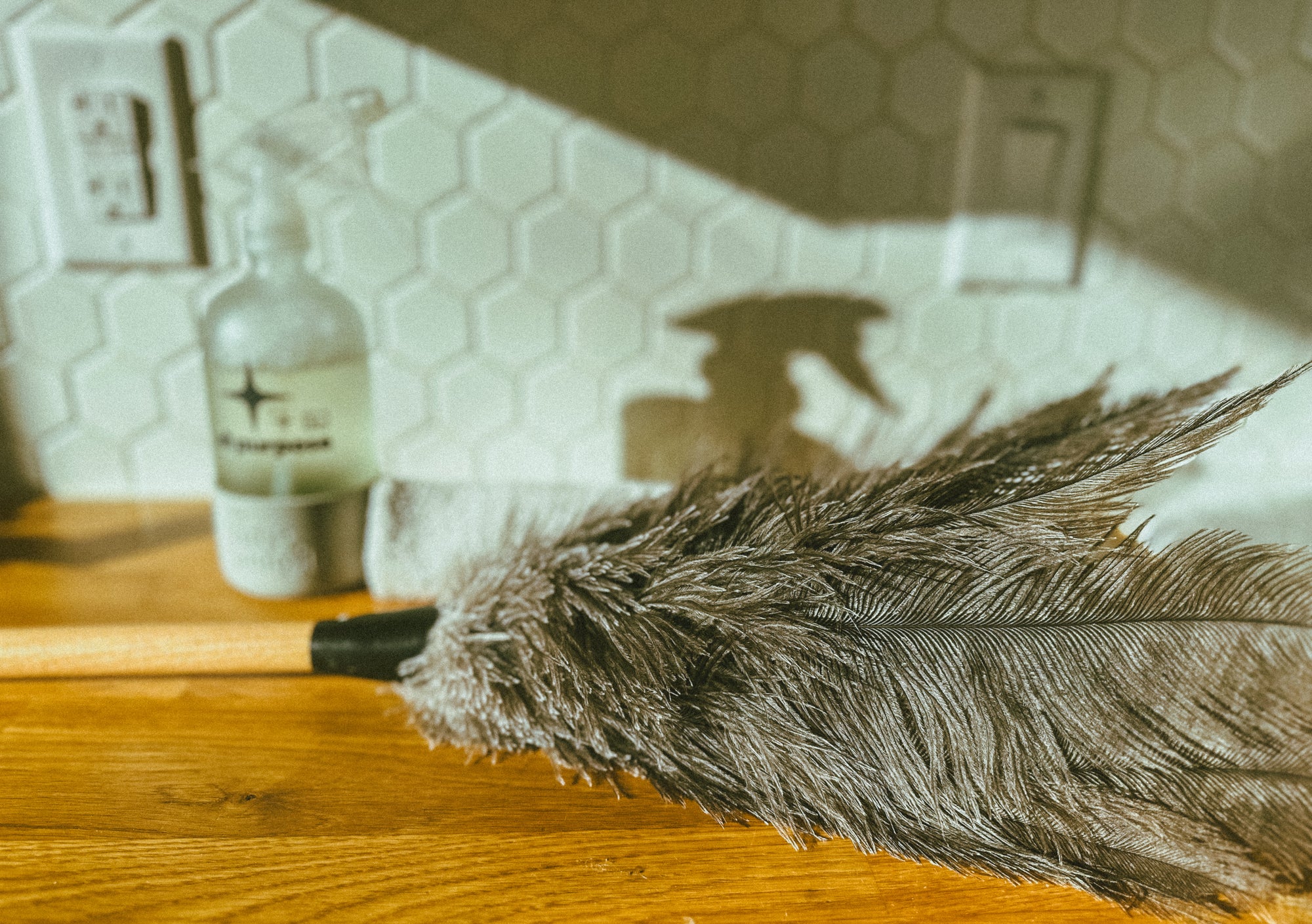 Feather Duster